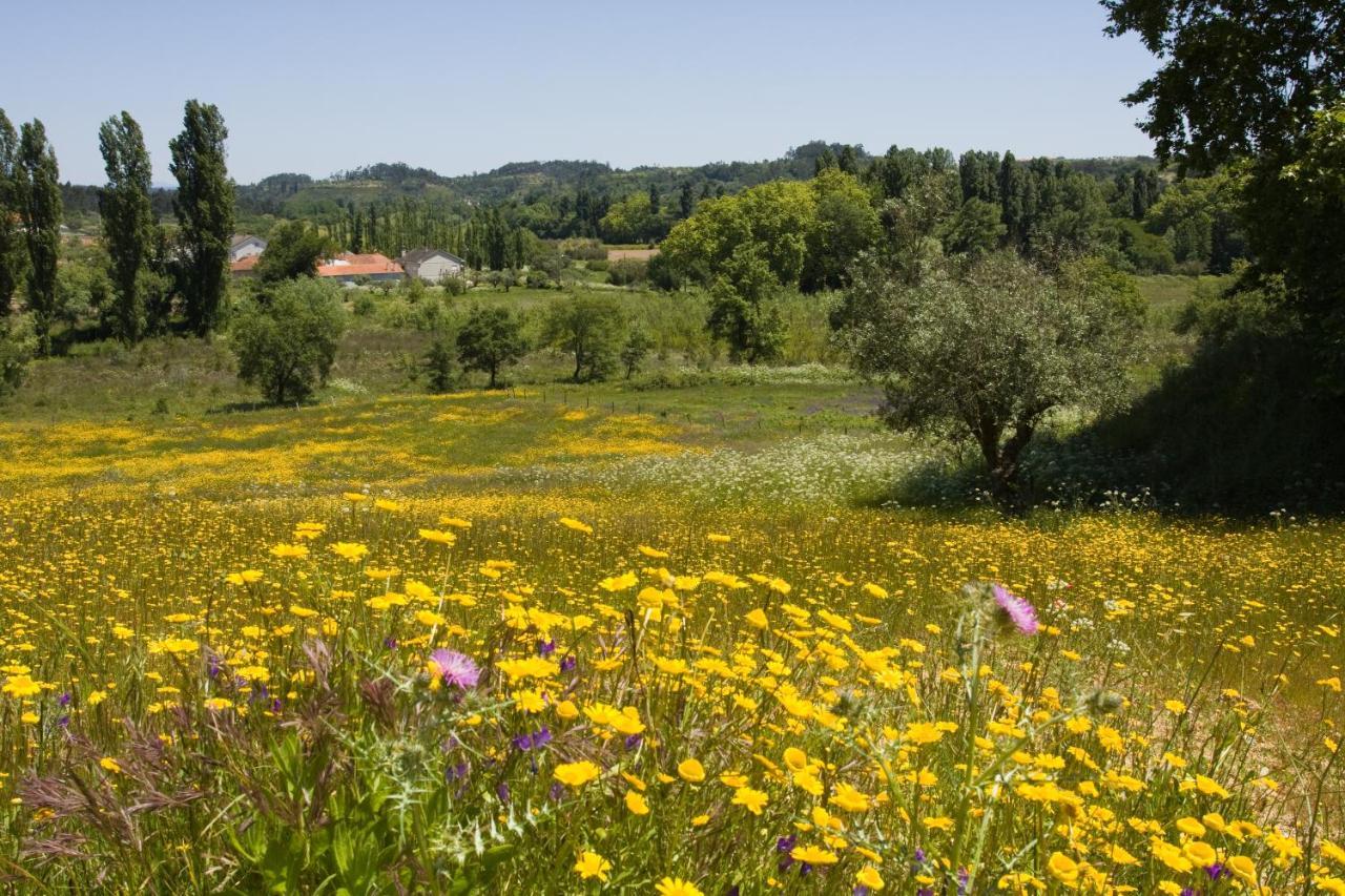 Quinta Da Alcaidaria Mor Villa Ourem Ngoại thất bức ảnh