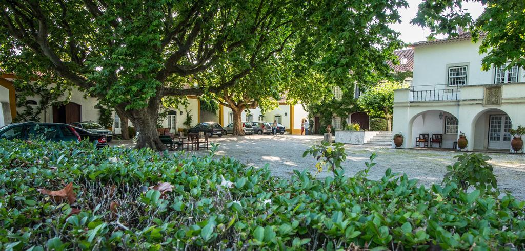 Quinta Da Alcaidaria Mor Villa Ourem Ngoại thất bức ảnh